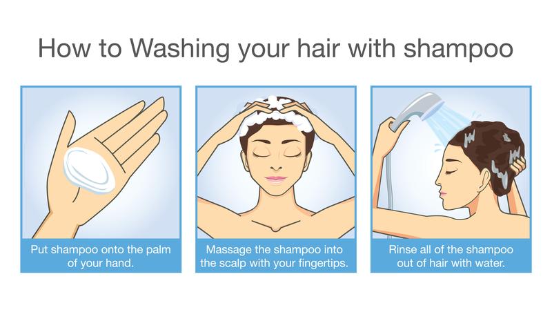 how to shampoo correctly infographic